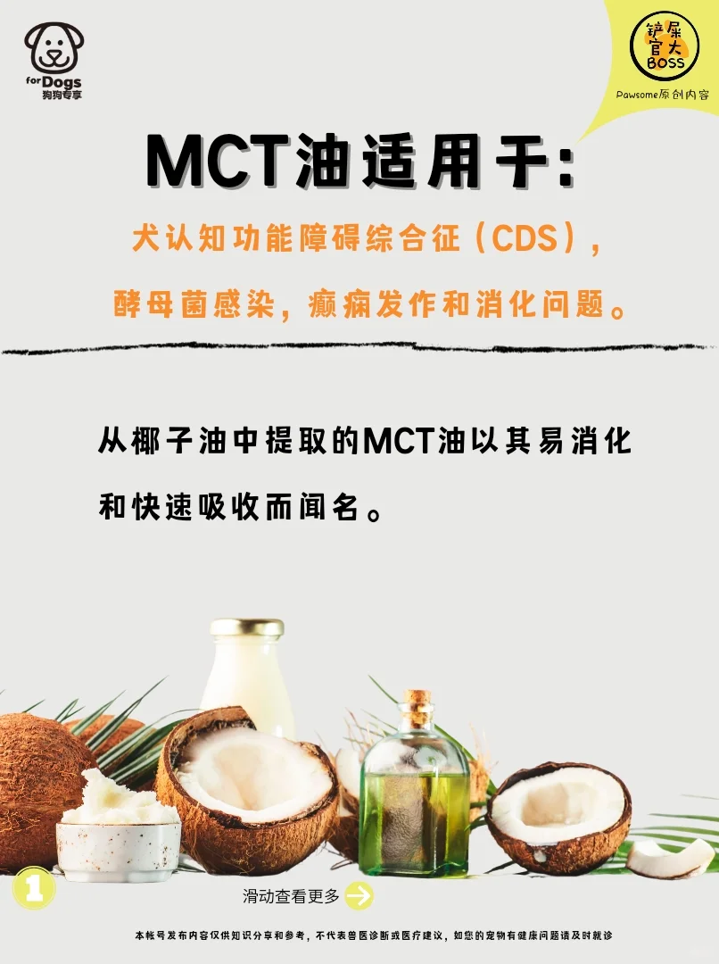犬认知功能障碍综合征，酵母菌感染