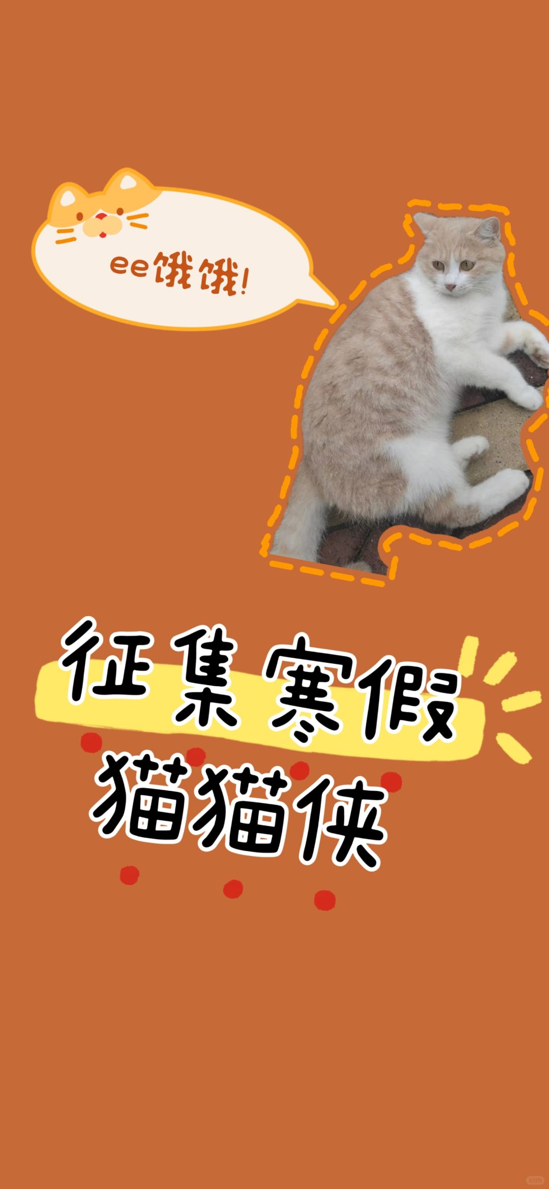 征集寒假猫猫侠！