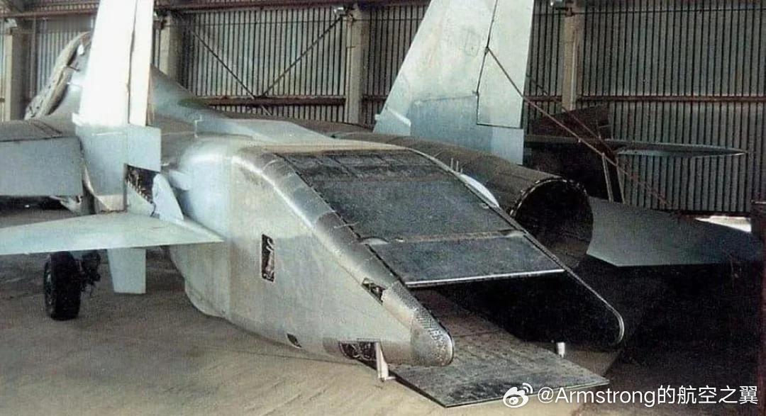 烽火问鼎计划 每天认识一件新兵器 奥列什科沃航空公园博物馆内苏-27UB LL-