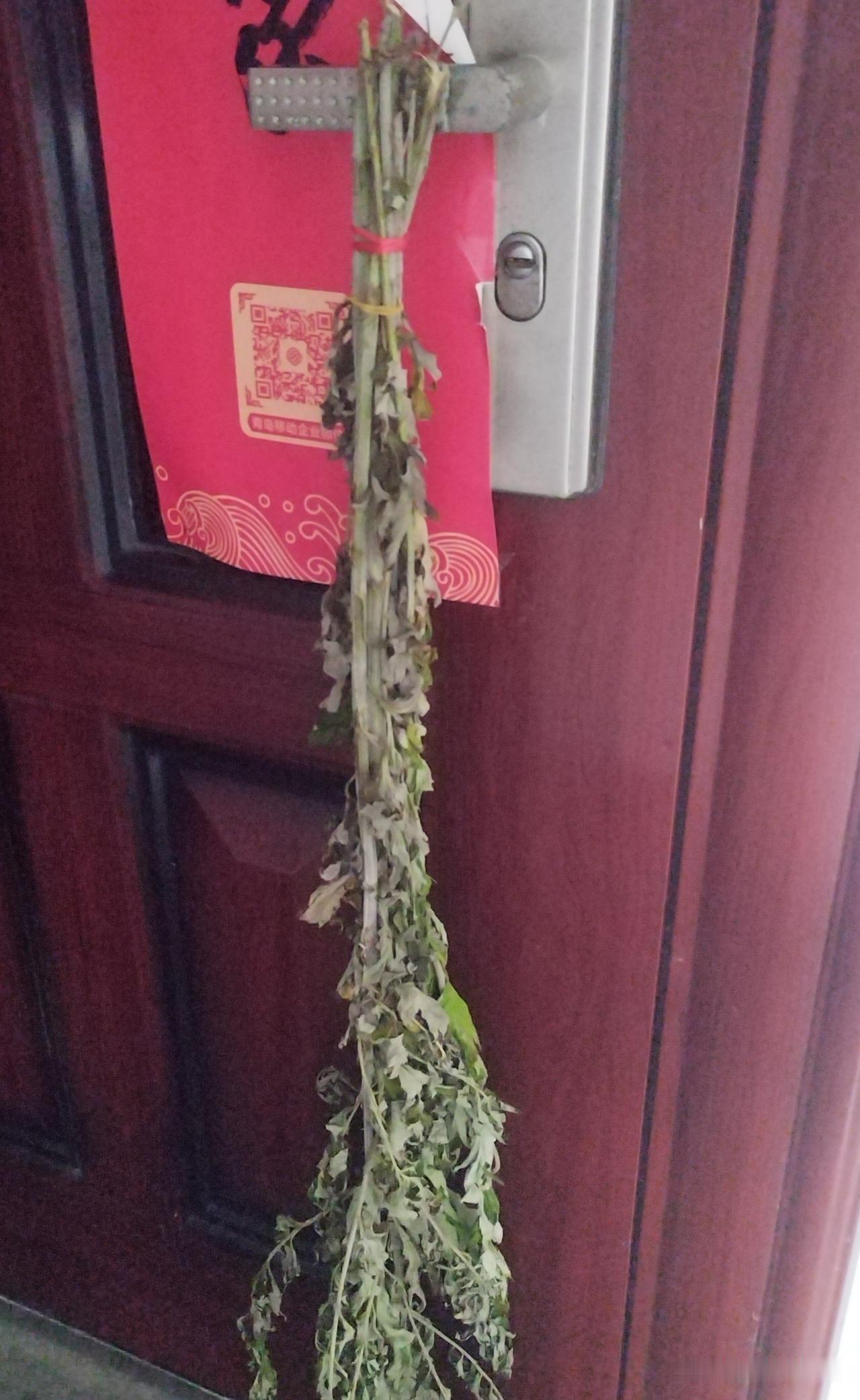 端午三天假马上过去了，那艾蒿什么时候拿掉呢？这里面可是有讲究的，可别做错过了！