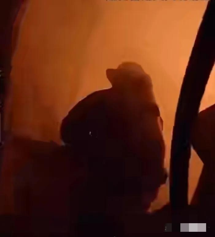 谁能想到，

   一句饱含孝心的叮嘱，

    竟成了父子间最后的告别？
