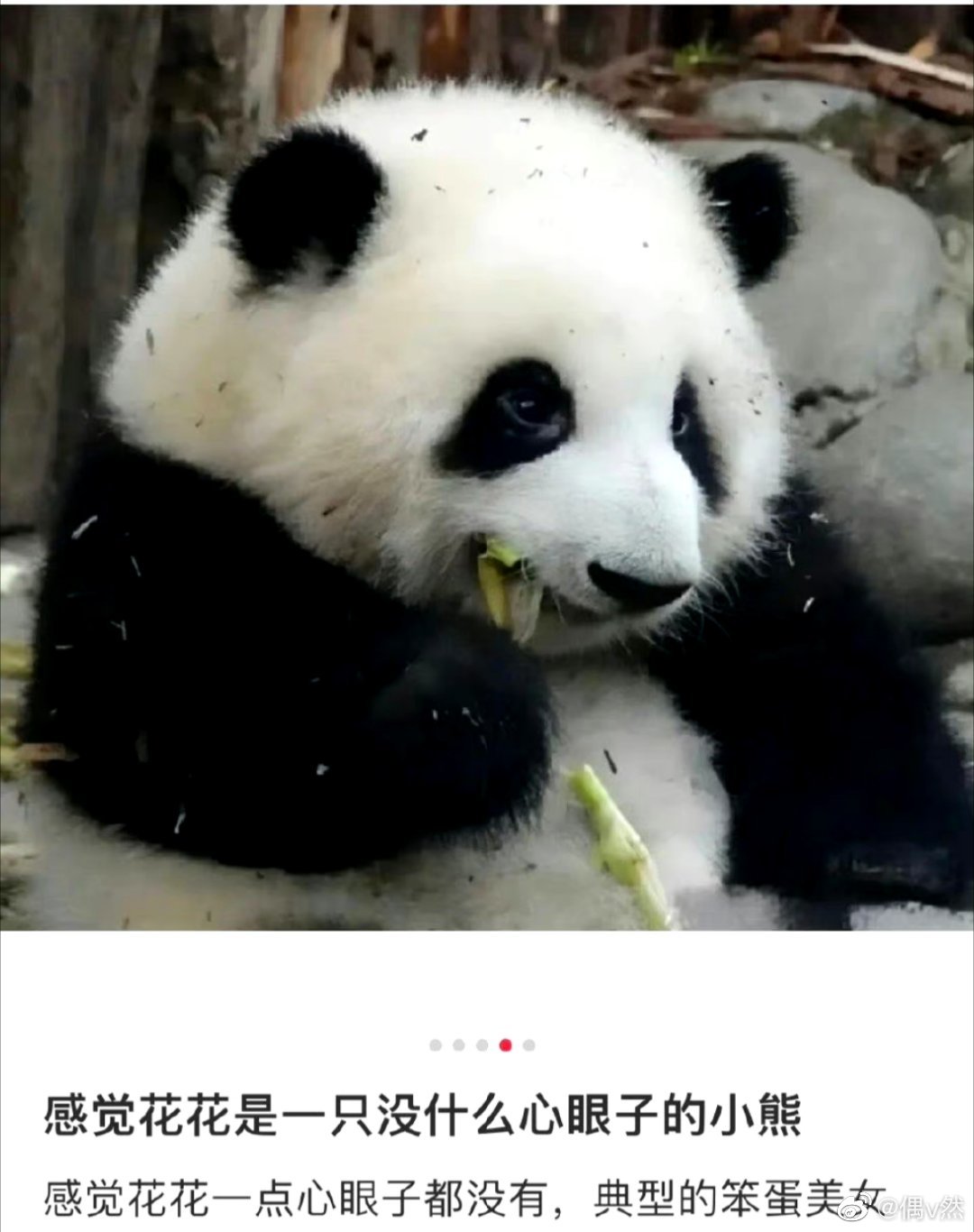 #花花接住谭爷爷给的小苹果#全国人民开个投票，谁是最受大众喜爱的顶流女明星——那