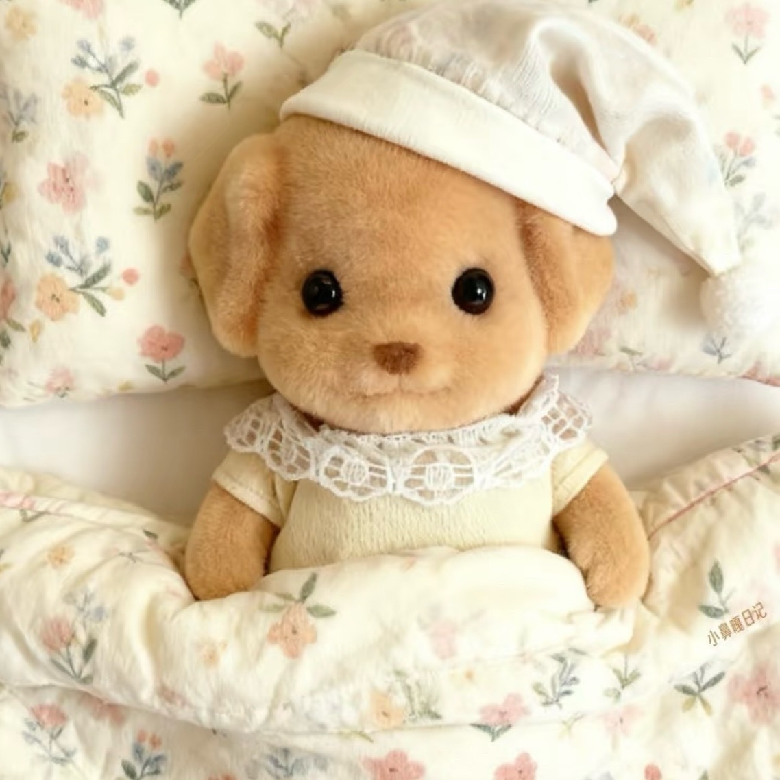 今晚跨年小宝们如何安排的？ 