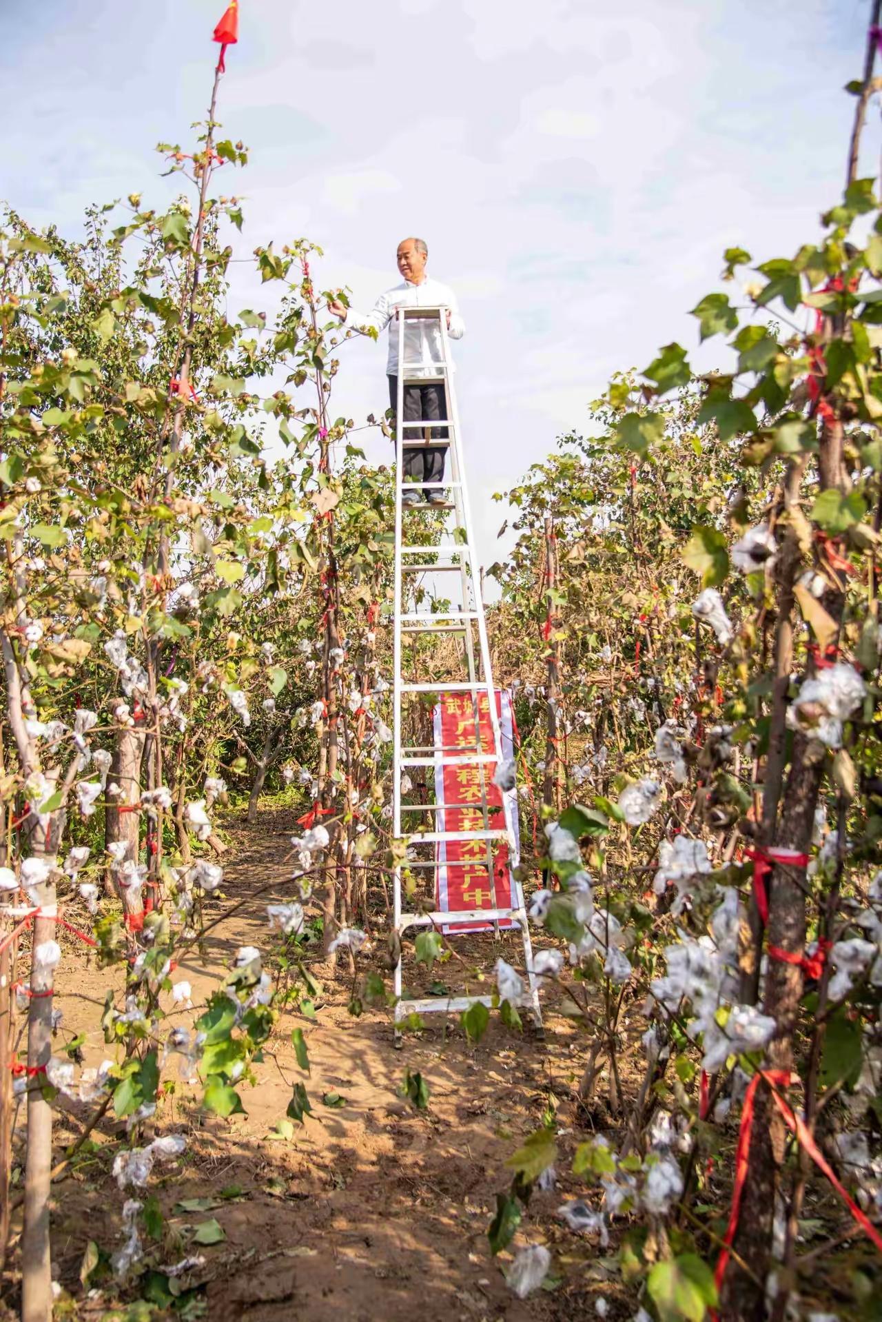 这是一个非常有意义的现实故事，也体现了普通农民的智慧和坚持。以下是对这个故事的总
