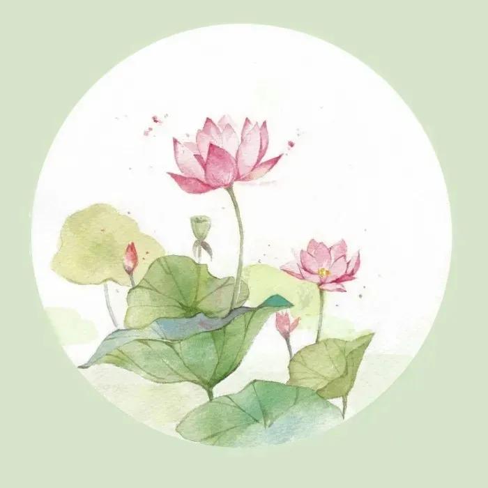 入伏读诗，荷塘赏夏


世间花叶不相伦，花入金盆叶作尘。
惟有绿荷红菡萏，卷舒开