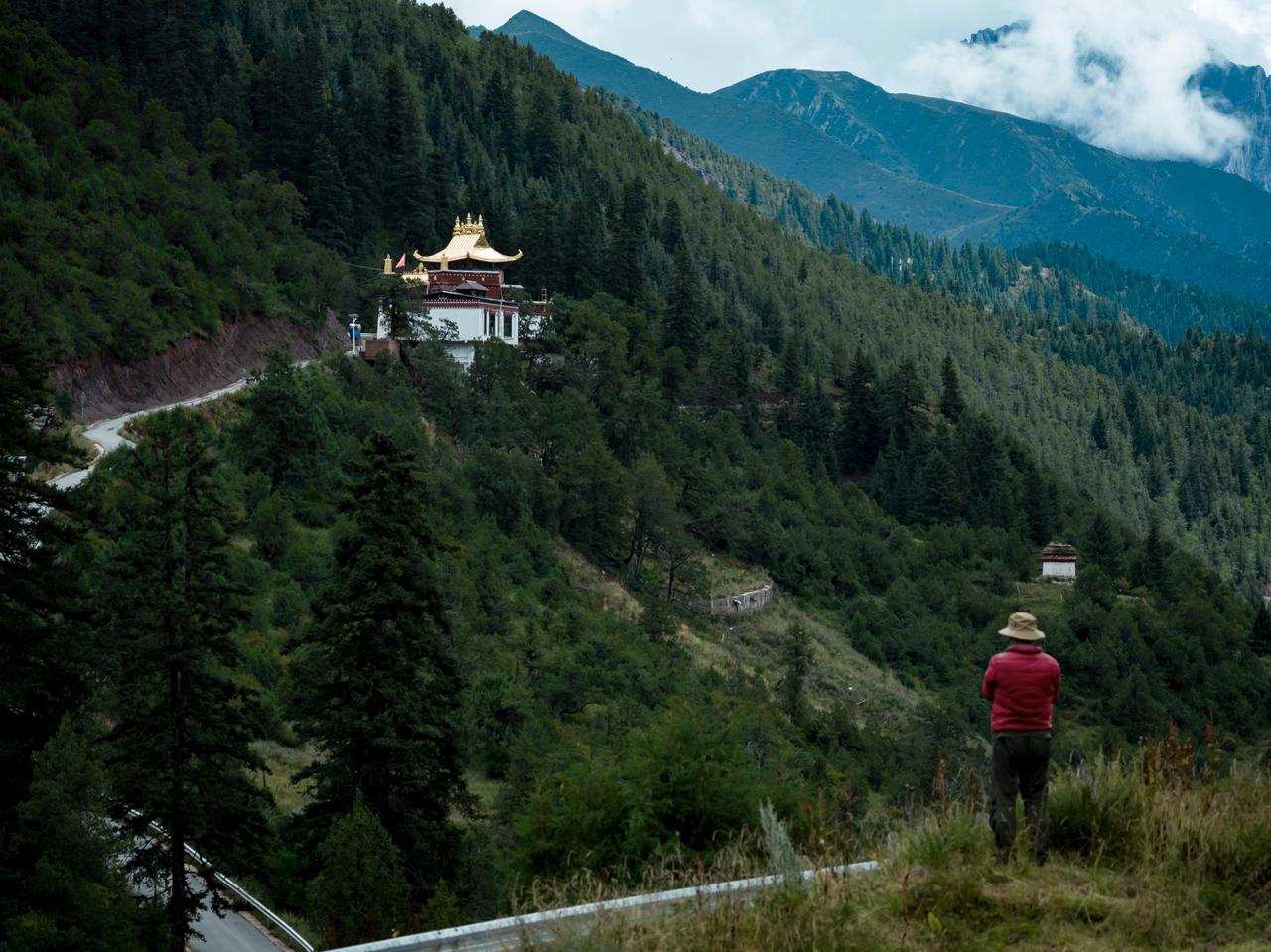 齐齐格果果摄影