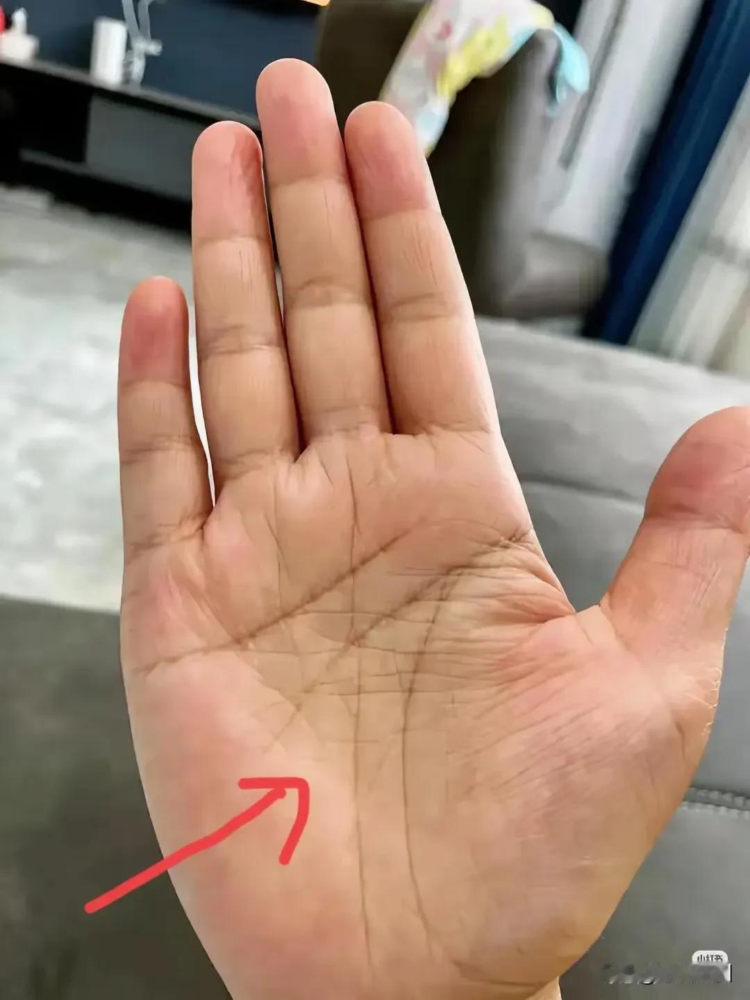 前几天在头条看到图一一人的手跟图二我的手有几分相似。非常好奇。
有没有高人懂看手