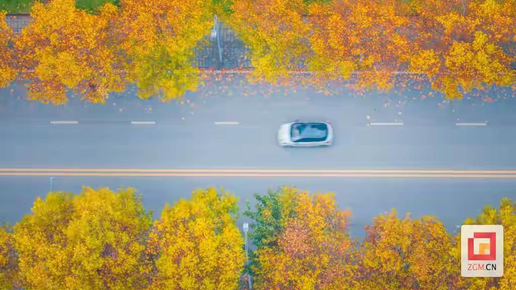 自然与工业的和谐共生能创造独特的城市诗意，季节性景观成为市民情感共鸣的载体。  