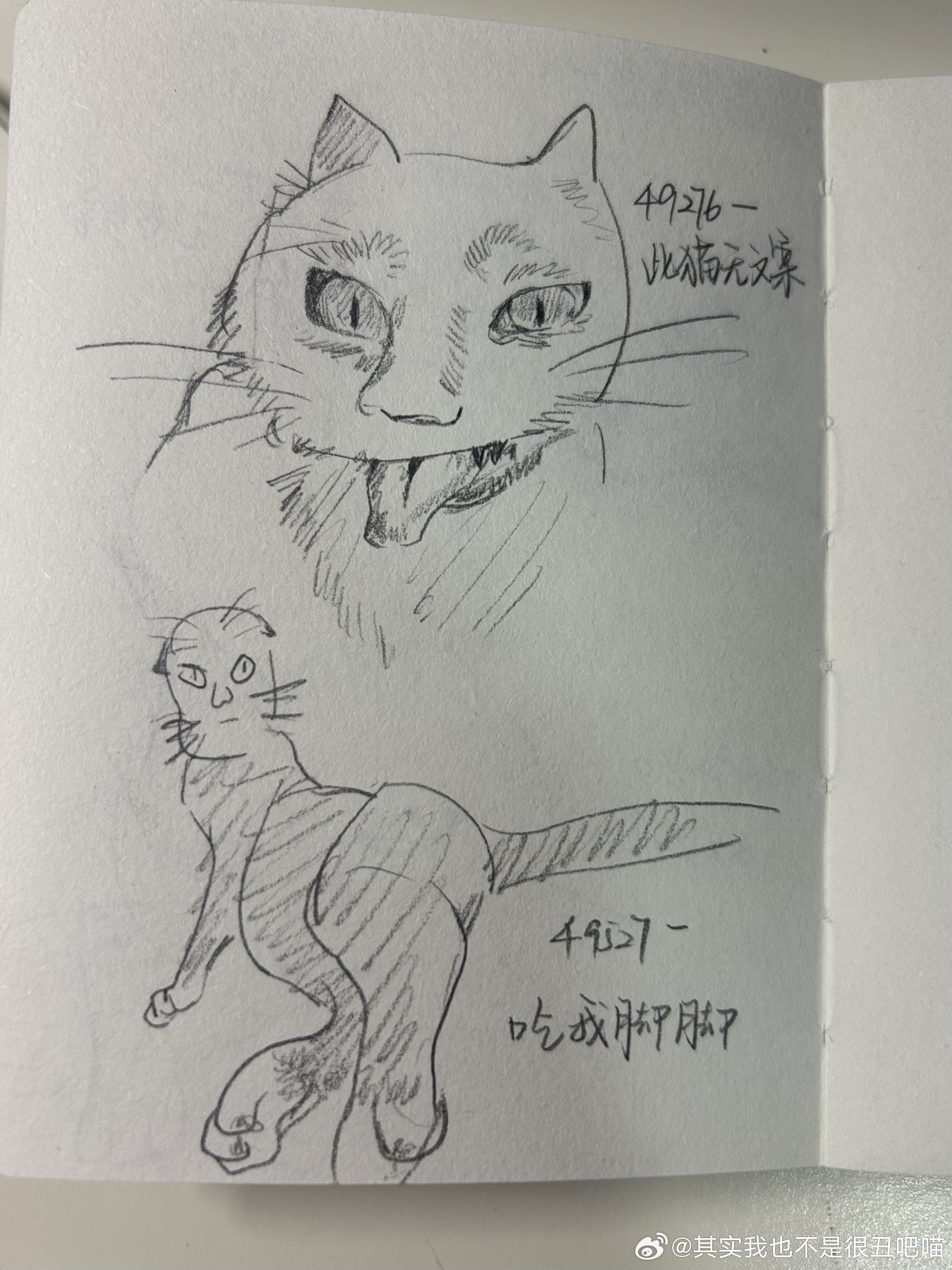 49686【丑猫】此时猫儿已经不耐烦了丑猫卢浮宫