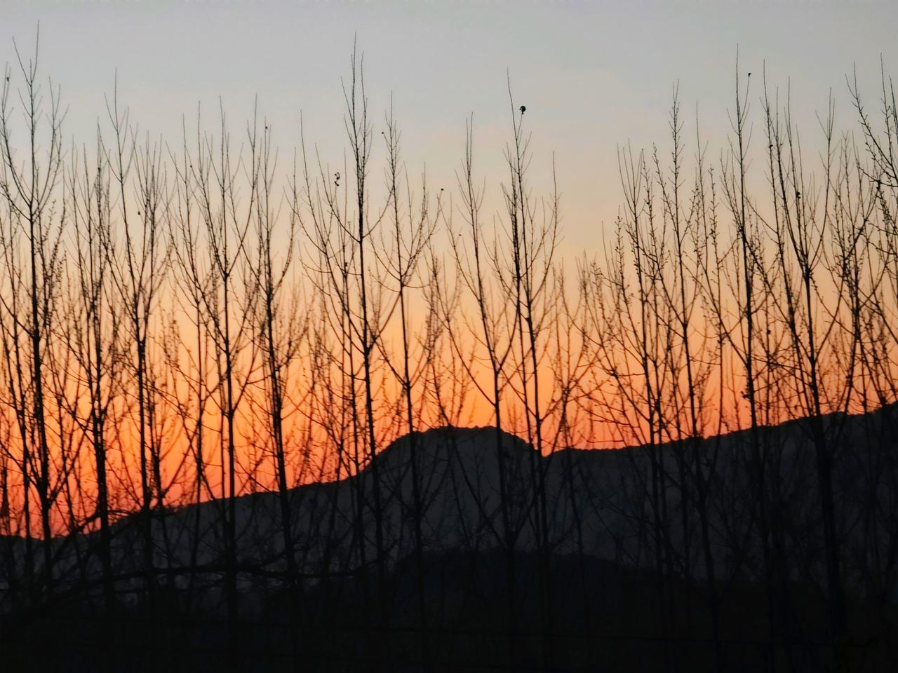 我的图片 自然风光 日落🌄