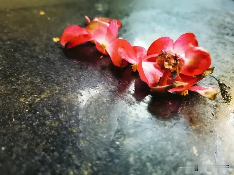 《七律    即兴遣怀》
时令相催岁序新，风流无奈苦留春。
残红委地香痕在，乱絮
