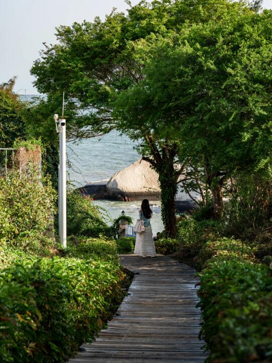 厦门拍照|穿过春日秘径奔赴浪漫大海