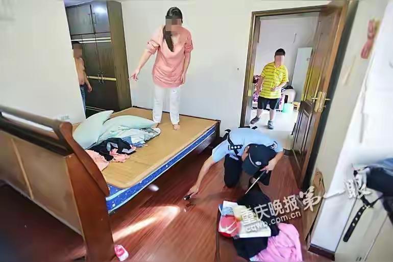 完整榜单刚刚出炉，最惊心动魄的一幕莫过于——女子床上出现大蛇，民警一招擒拿！这究