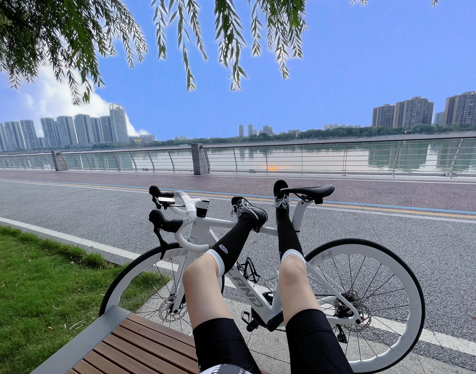 风和自由