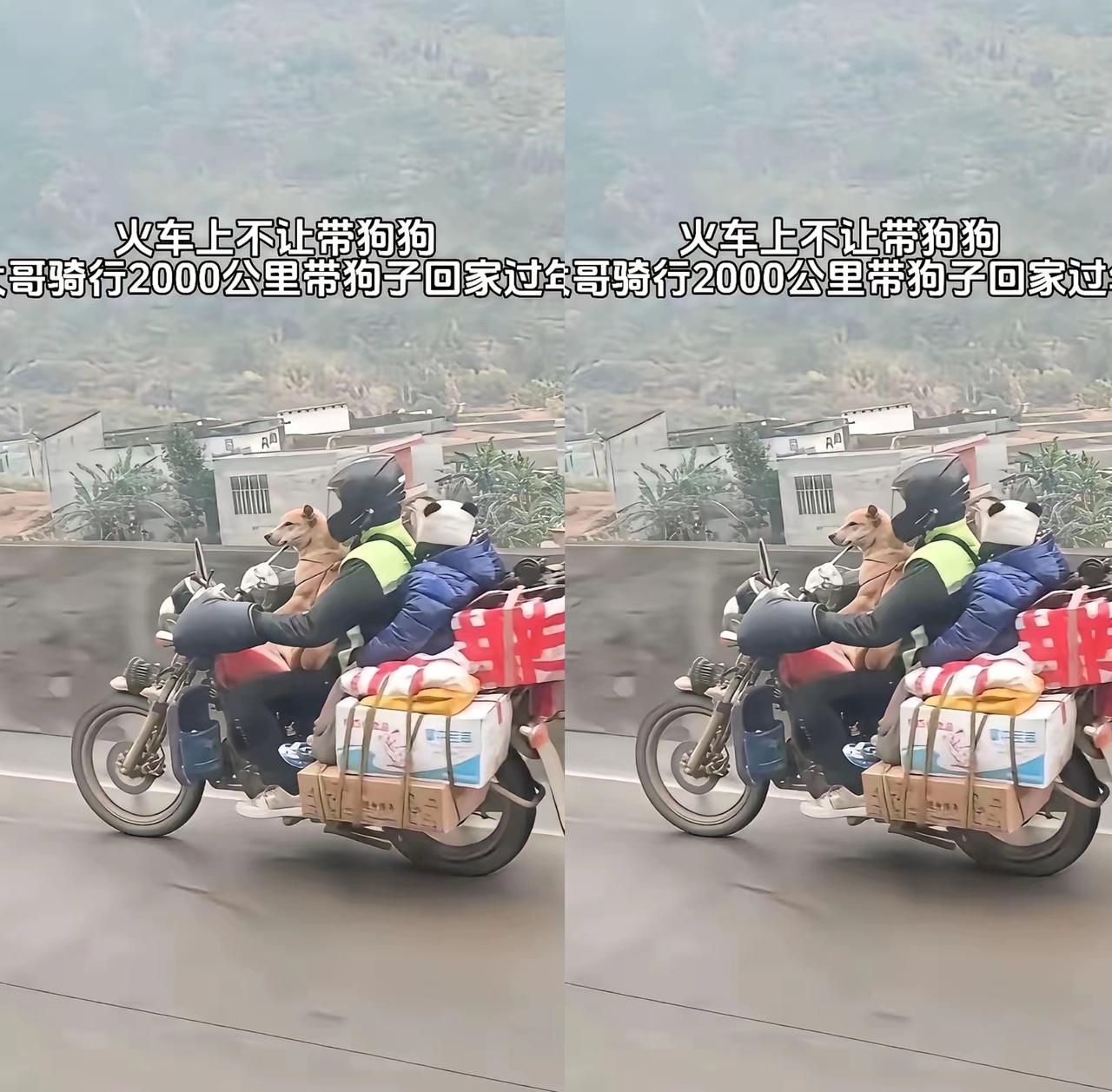 真正的爱从来不是“没办法才带你”，而是“拼尽全力也要一起团圆”！
       