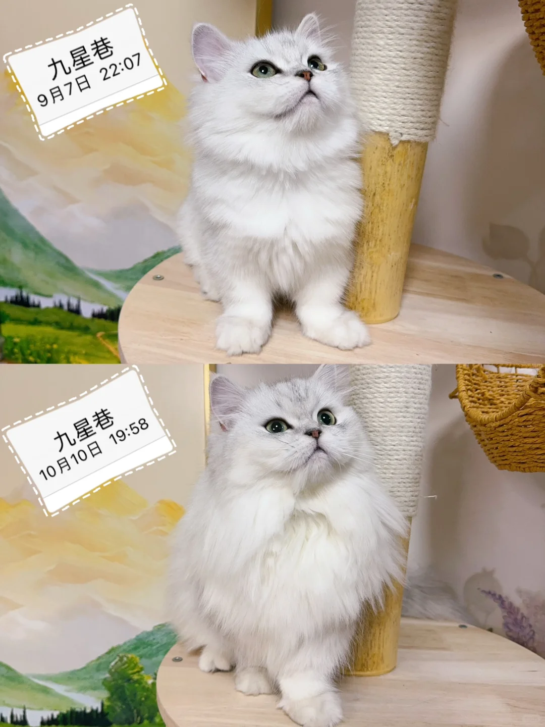 换粮1个月，果断囤3包！