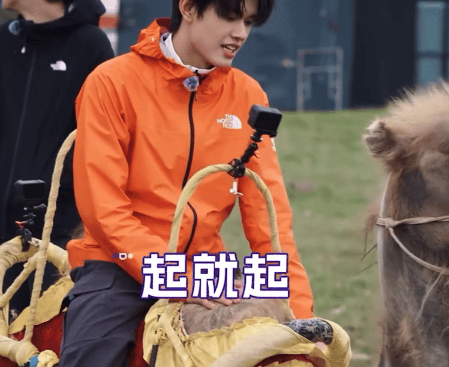 吗的我都要笑吐了 两口子都是上去想找脚蹬不小心踢了两脚骆驼然后骆驼站起来了 ​​