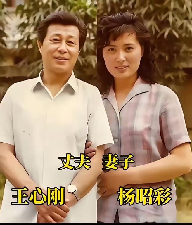 王铎：王心刚和妻子