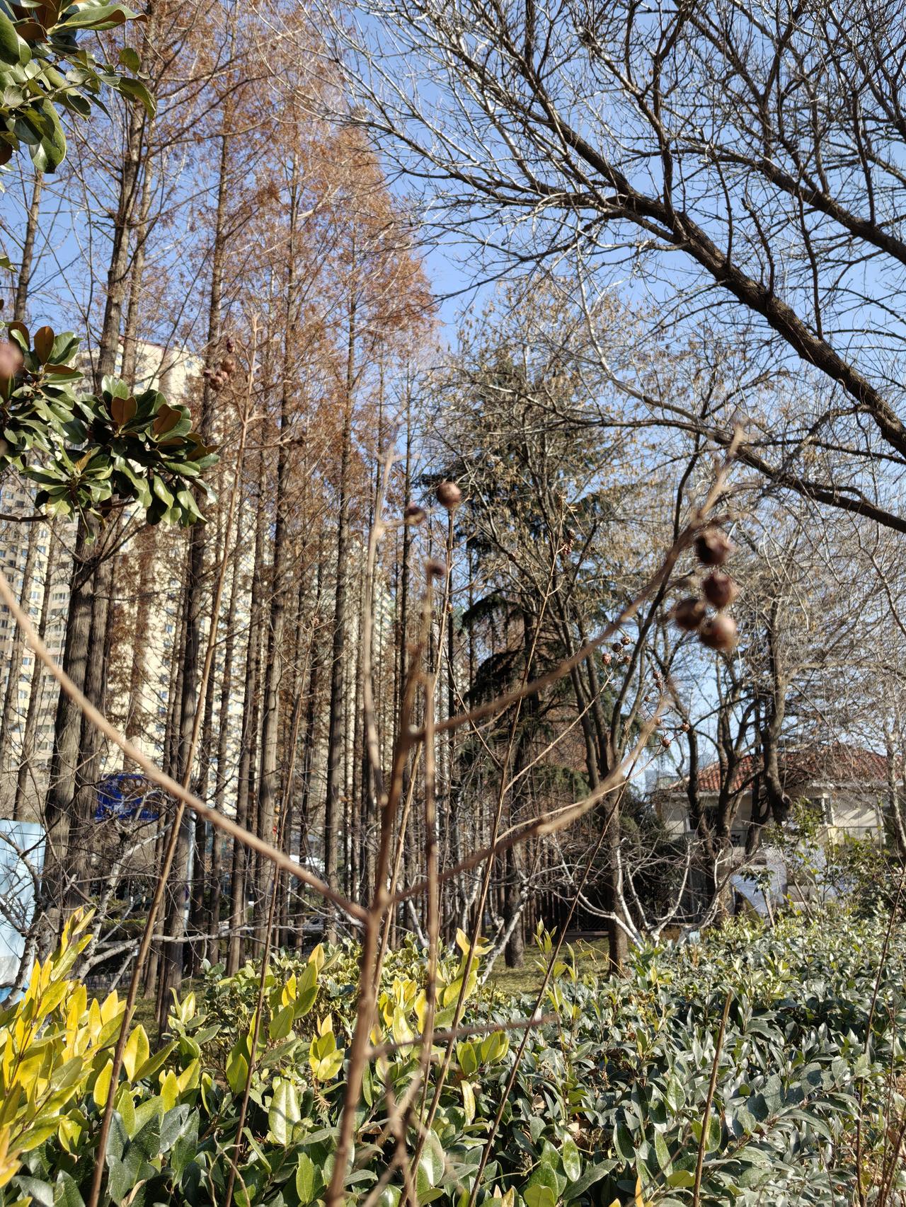 昨天因为别人的事情把自己看得既气愤又心酸。

为了那个46岁不幸英年早逝的女人。