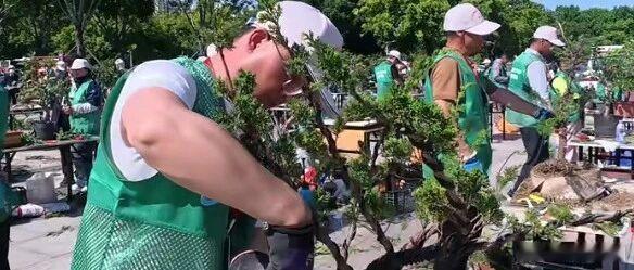 安阳76名园林匠人景上添花【缩龙成寸、小中见大！】4月29日，2026年河南省住