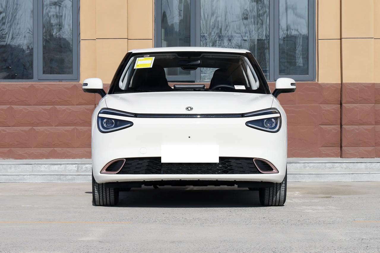 🚗 纳米01 VS 星愿，我觉得纳米01像“务实派”，9.28万给到L2辅助驾