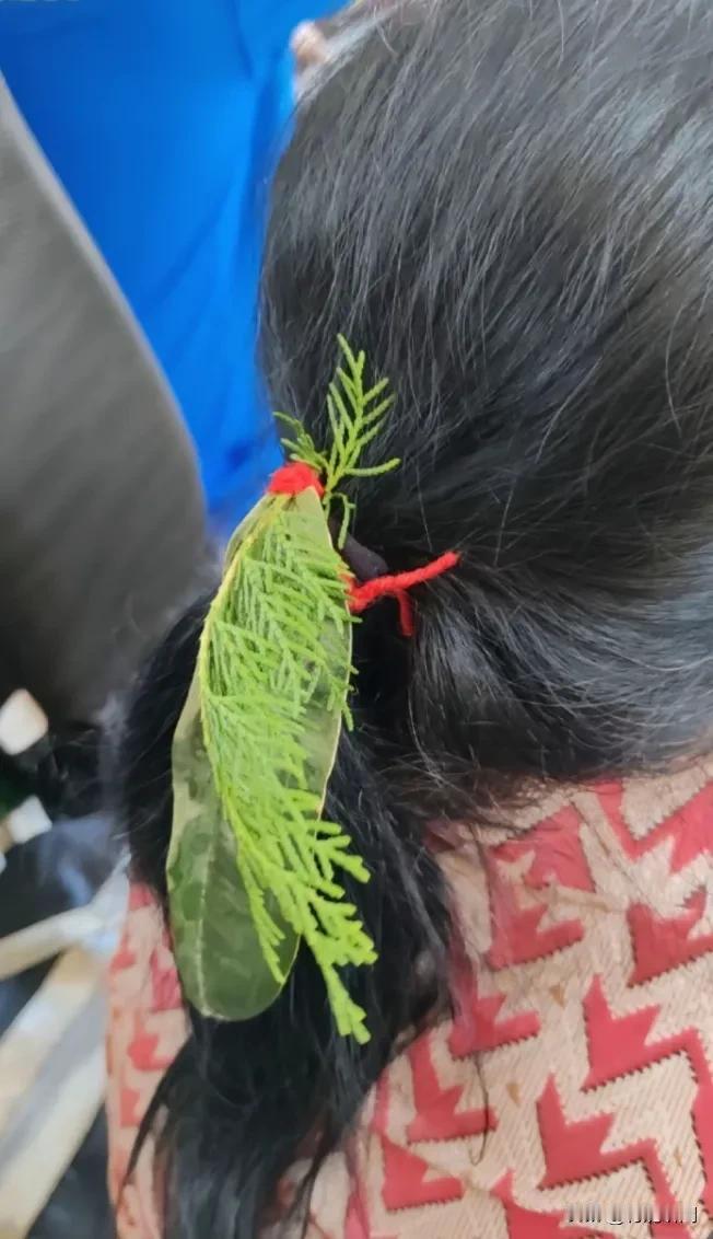 出来坐公交车的时候，偶然看到这个啊姨头上带着一片树叶，这到底是啥意思呢，又为什么