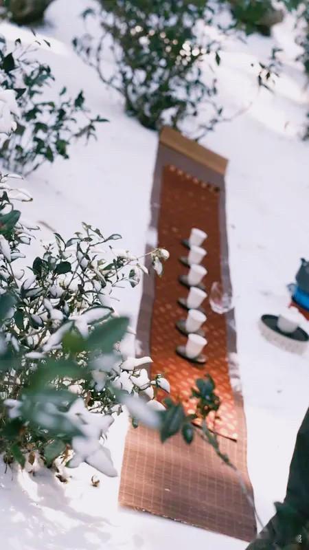 拾灵记｜红楼雪茶，一盏清温入岁寒

栊翠庵的雪水烹茶，该是红楼里最清绝的茶事。雪