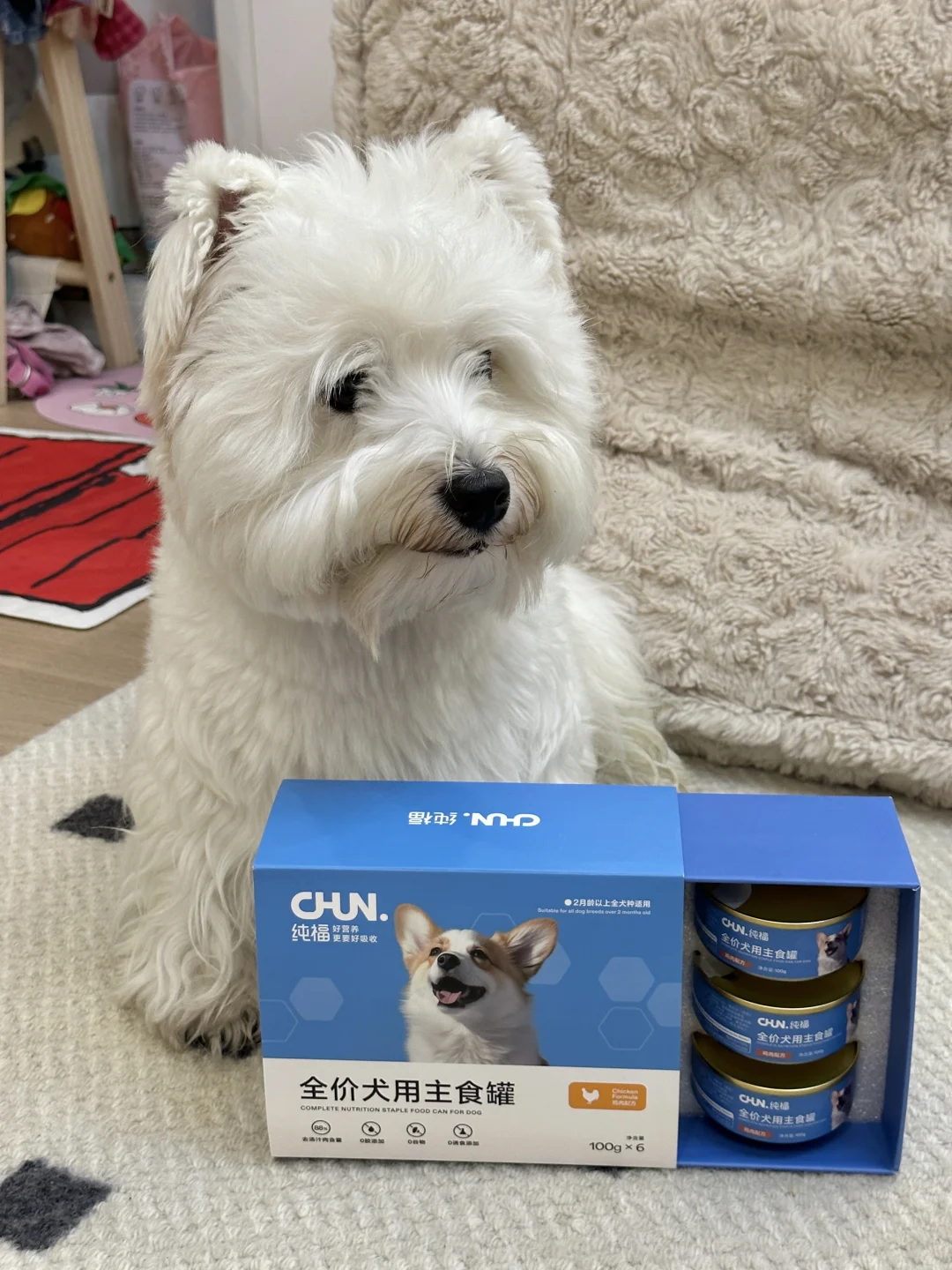 罐罐富翁😆