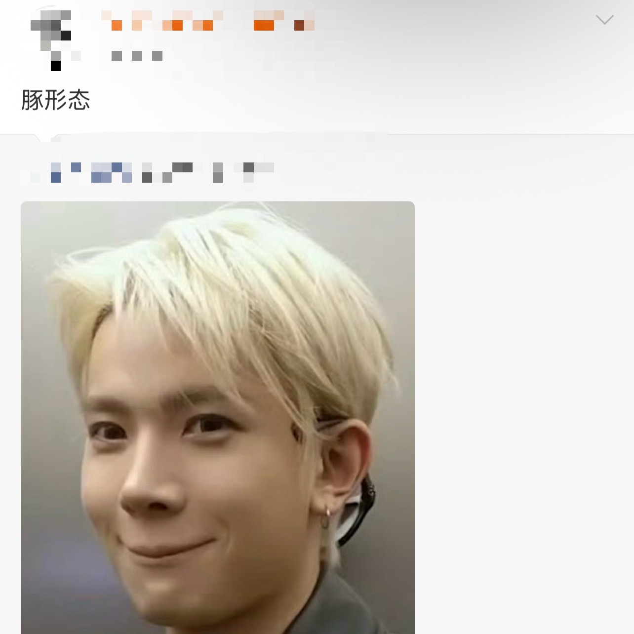 你的豚和我的豚好像不一样