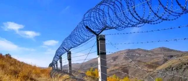 《图片报》消息，当地时间11日，爱沙尼亚国防部投资项目发言人沃戈马宣称，为抵御俄