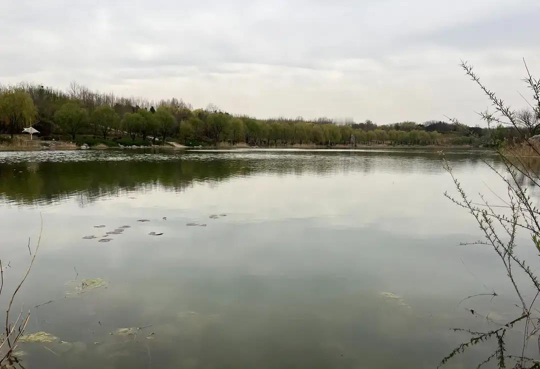 说出来你可能不信，问十个郑州人哪个公园最大，九个都得答错
都以为是市里那几个老牌