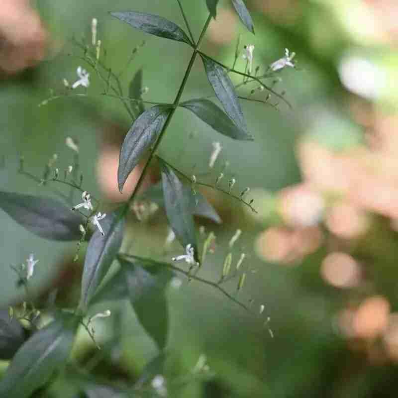 我的今日状态：😁轻松愉快
我这里的天气：☀️晴天