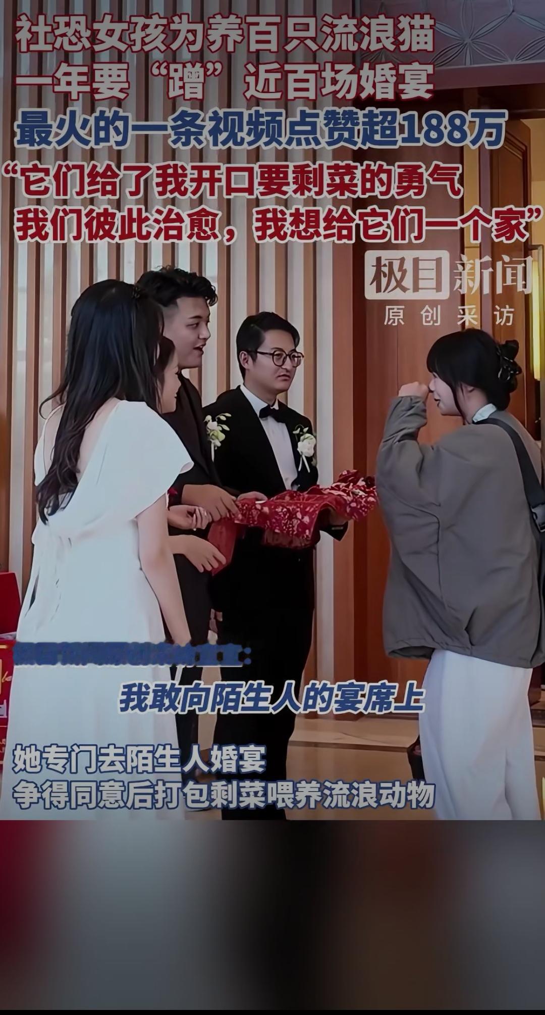 社恐女孩蹭百场婚宴喂猫：188万点赞背后，是温柔与勇敢的双向救赎善良的社恐女孩 