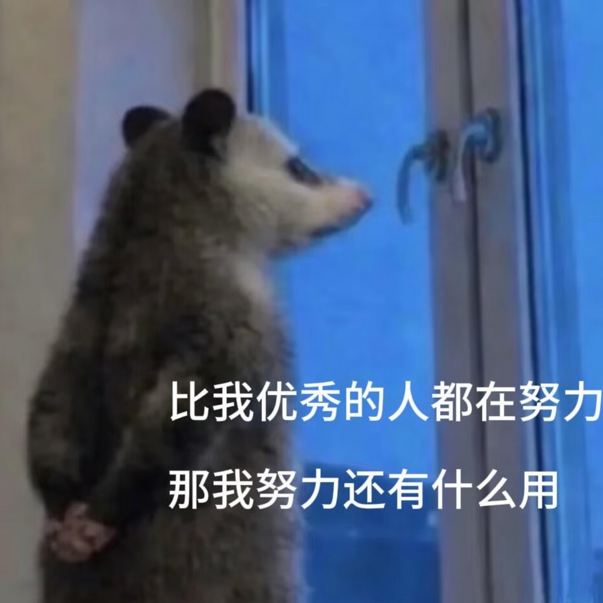工作其实是很养人的个人觉得工作除了“带薪如厕带薪接水、来回茶水间溜达带薪下楼取快