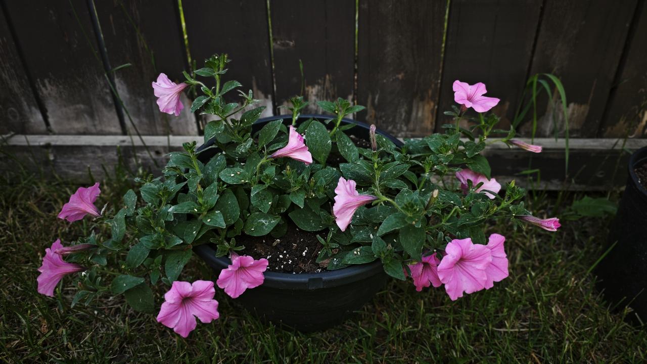 昨天上午本来是阳光明媚的好天气，天气预报也没报有雨，傍晚手机收到警报说有极端天气