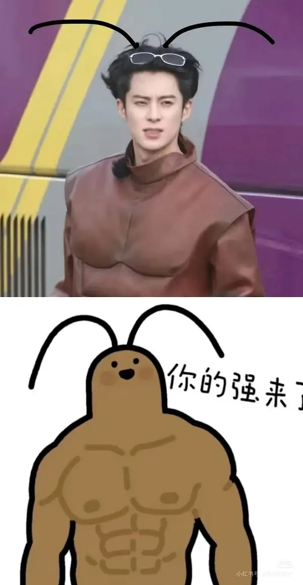 王鹤棣跟小动物过不去了，好可爱，没有包袱的棣棣 