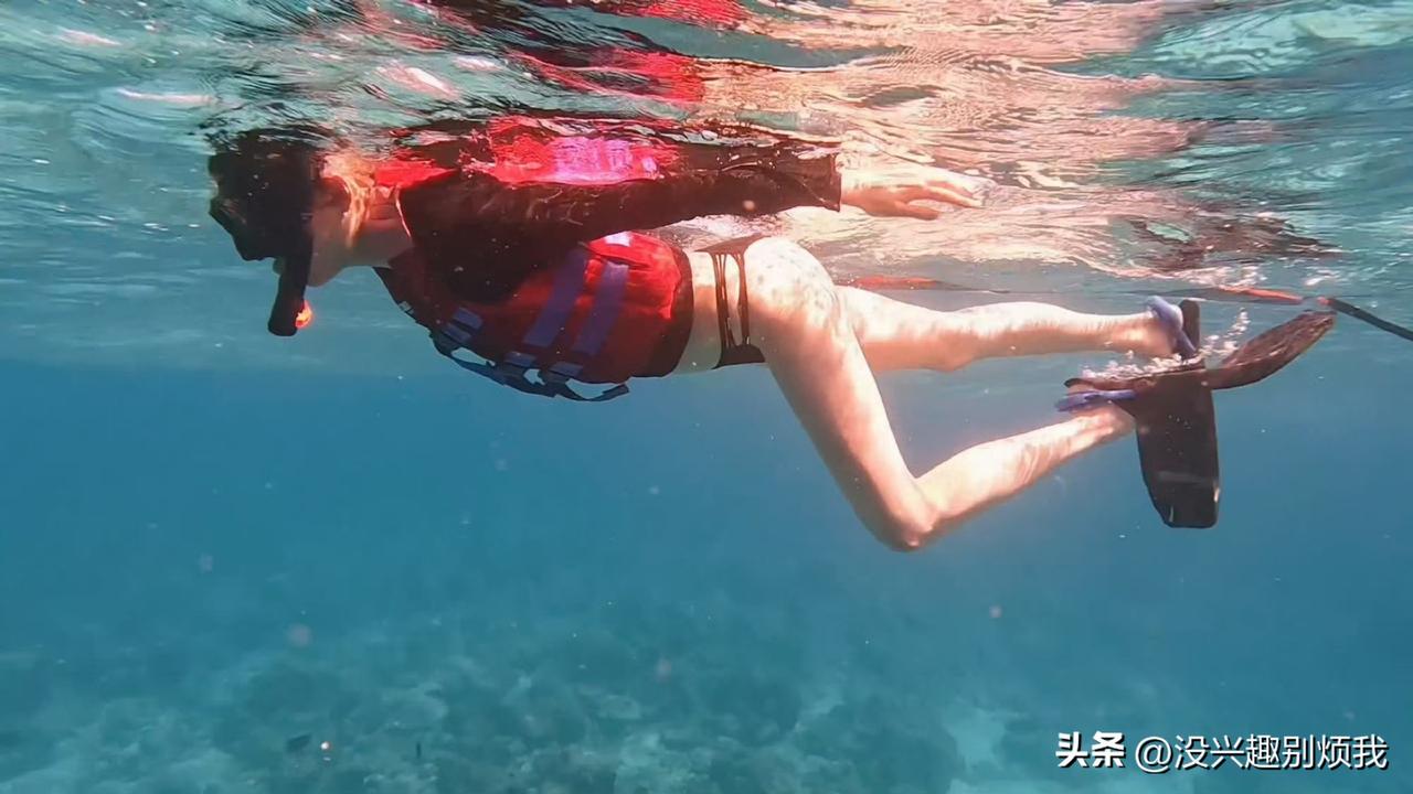 关晓彤潜水