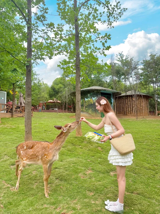不是泰国🌴是常州！！热带雨林咖啡屋美爆了😭
