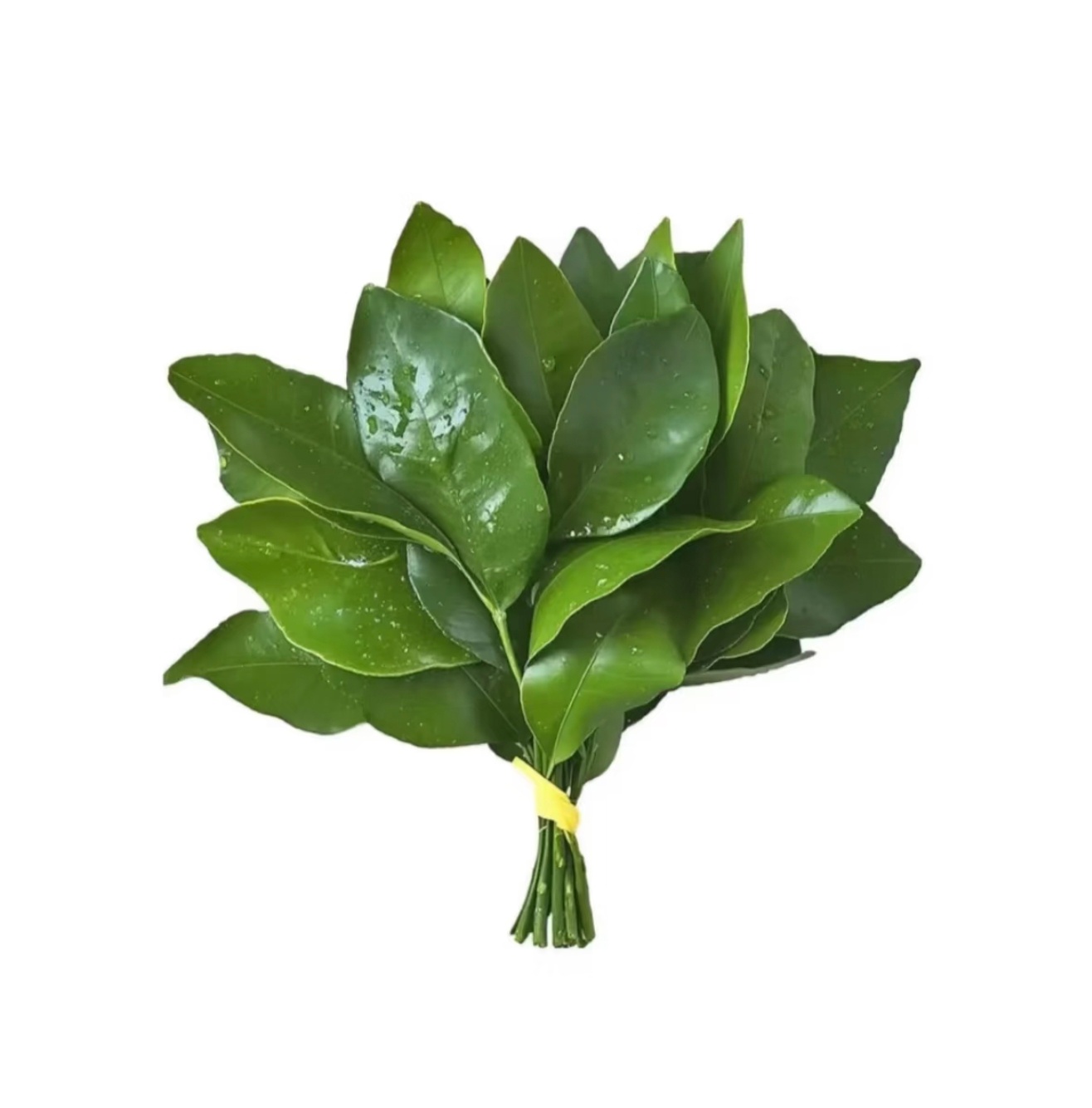 分享图片 ​​​