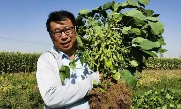 2009年，重庆大学教授易志坚在研究物质力学时，意外发现了沙漠土壤的独特性质，巧