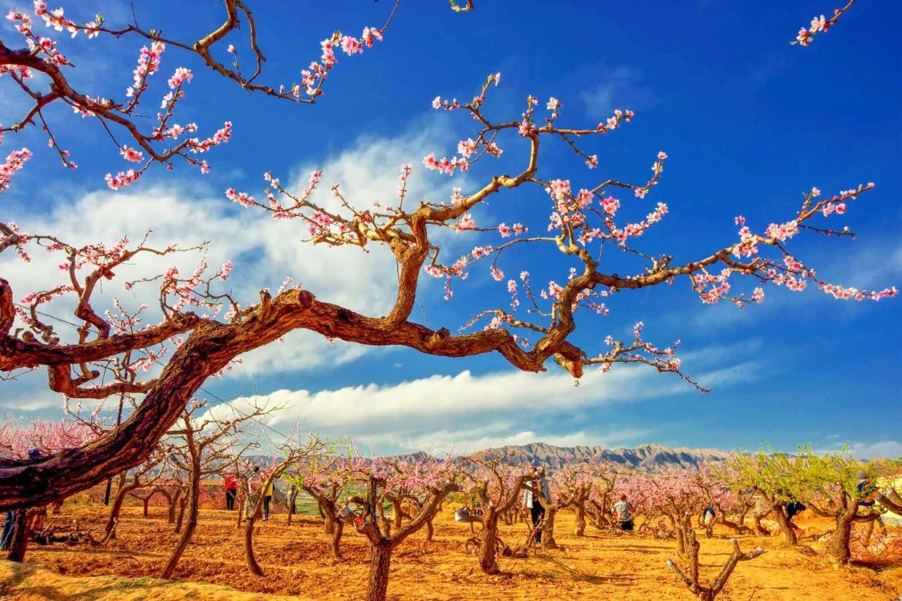 【在人生旅途中，我们慢慢成长，经历磨砺，渐渐学会戴上面具，但你不管走到哪里、走得