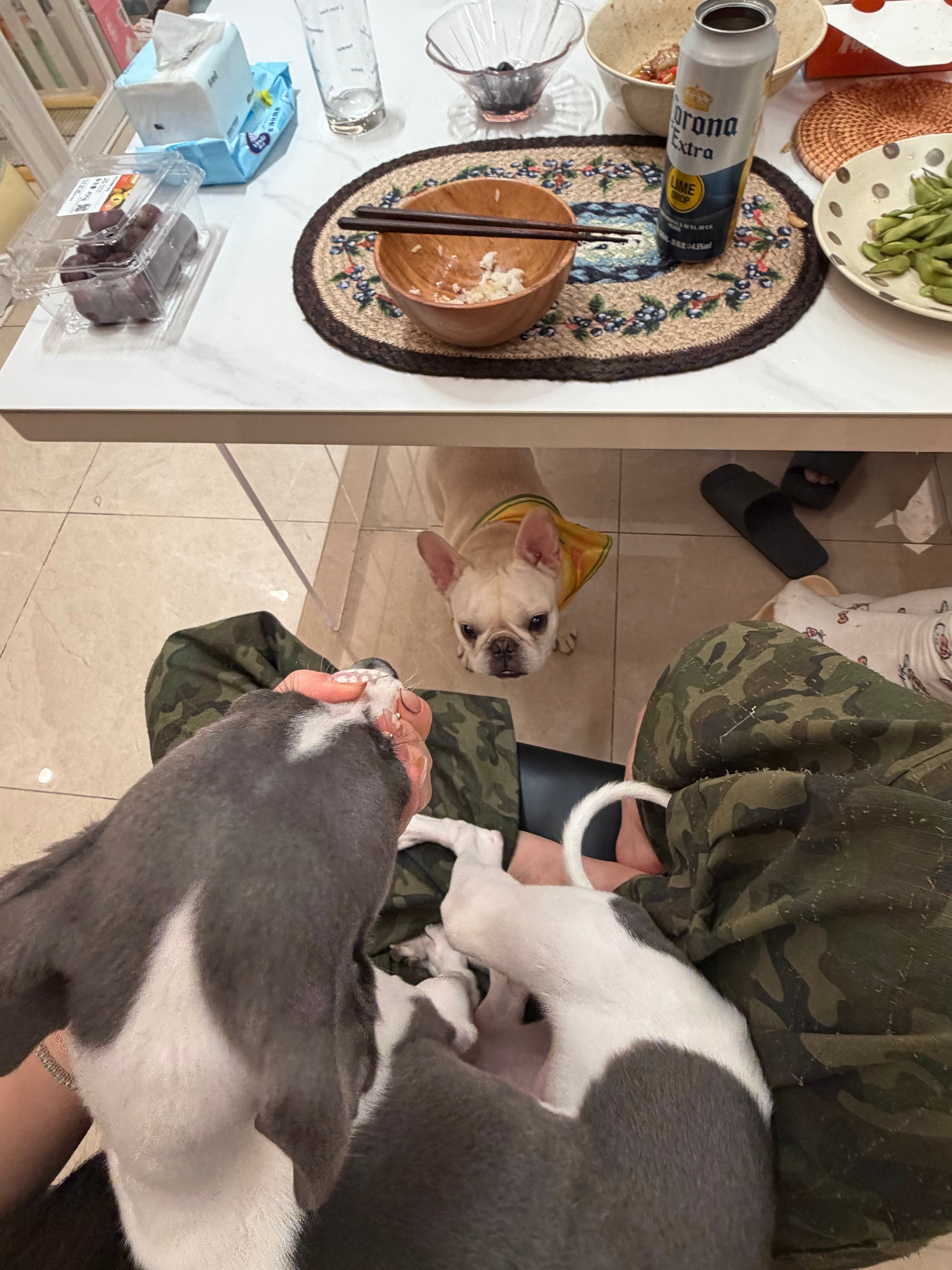 晚上好老婆们～～ 