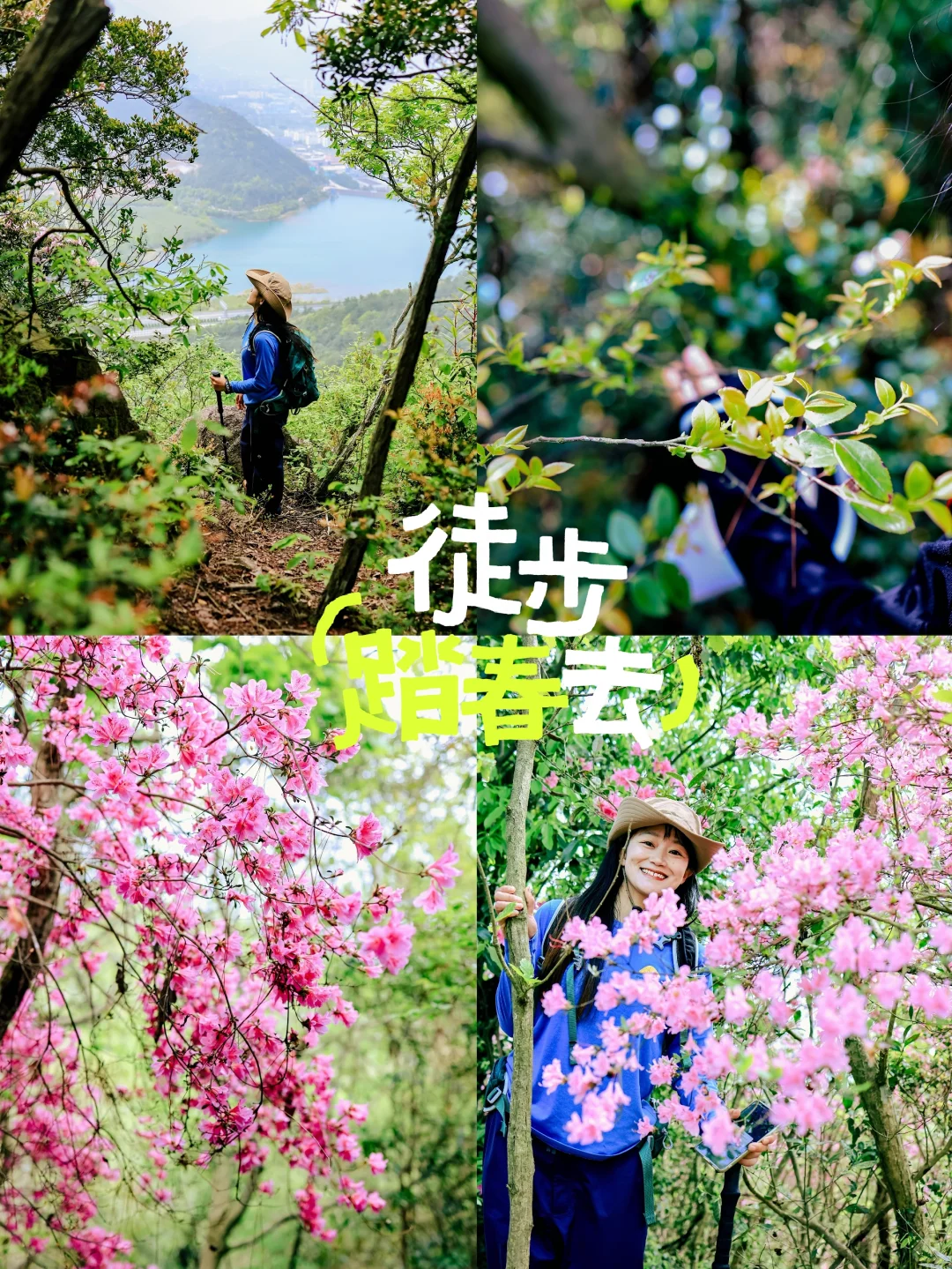 徒步踏春指南｜山林穿梭，实现乌饭叶自由！