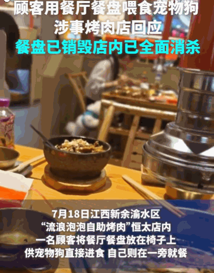自私自利！江西，一家自助烤肉店内，一顾客竟把餐盘放在椅子上，让宠物狗直接低头进食