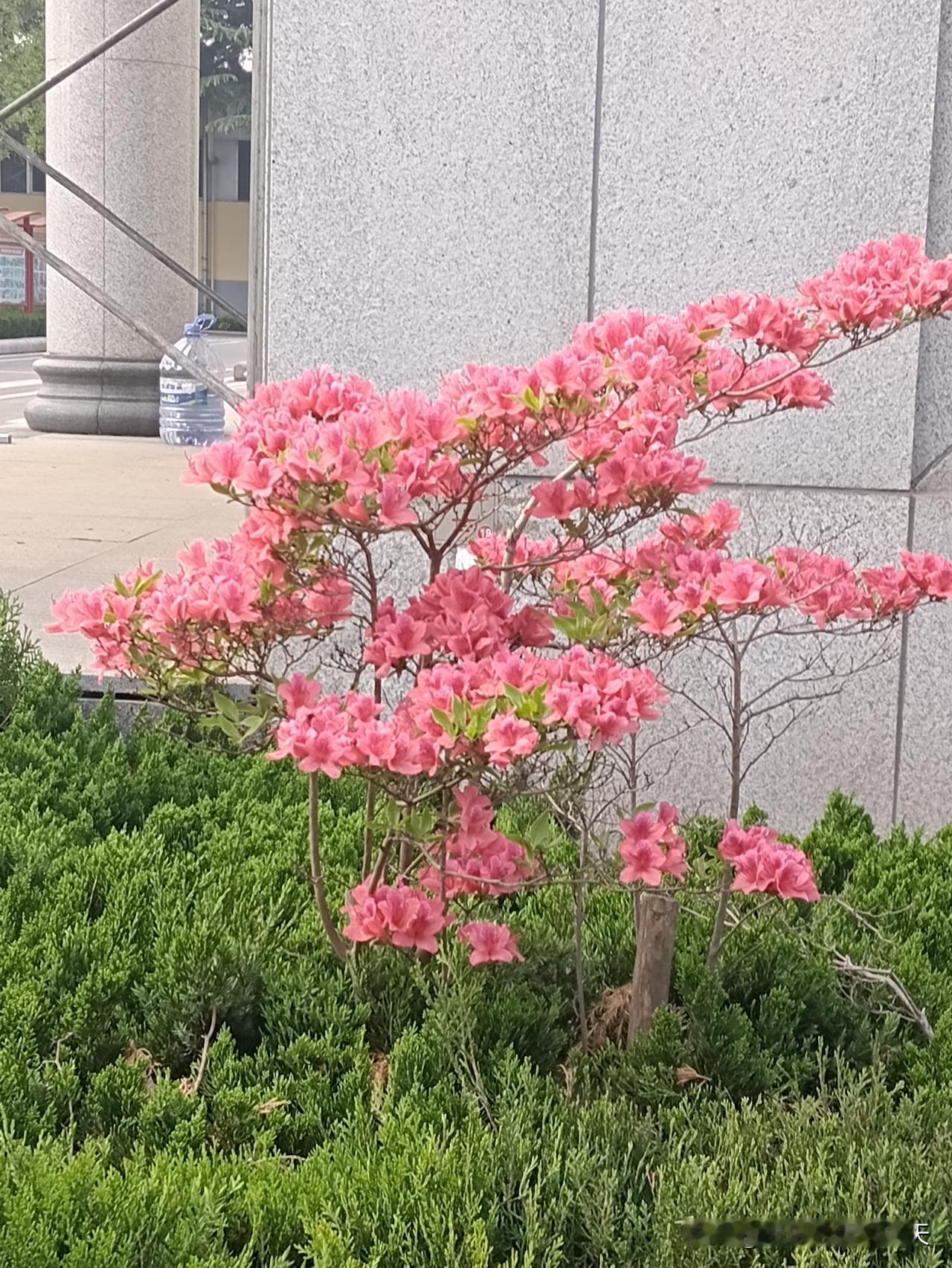想要运气好，一定要记住：
1.不管住哪，要说房子好
2.和谁在一起，就说谁好
3