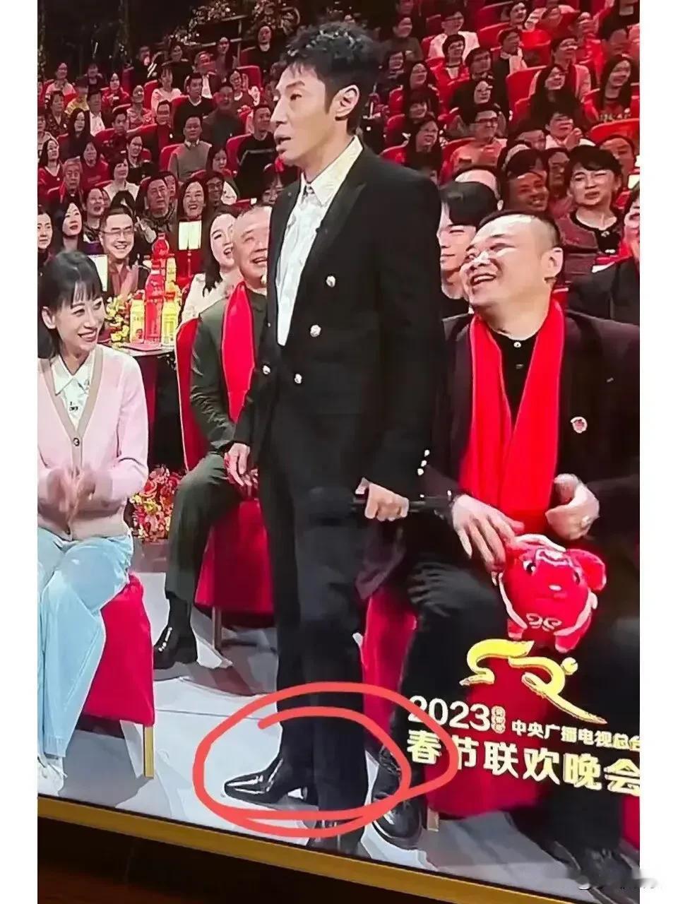 这高跟鞋就是专门为撒贝宁定做的，为了春晚的舞台效果，他真的费劲了功夫，一直穿着它