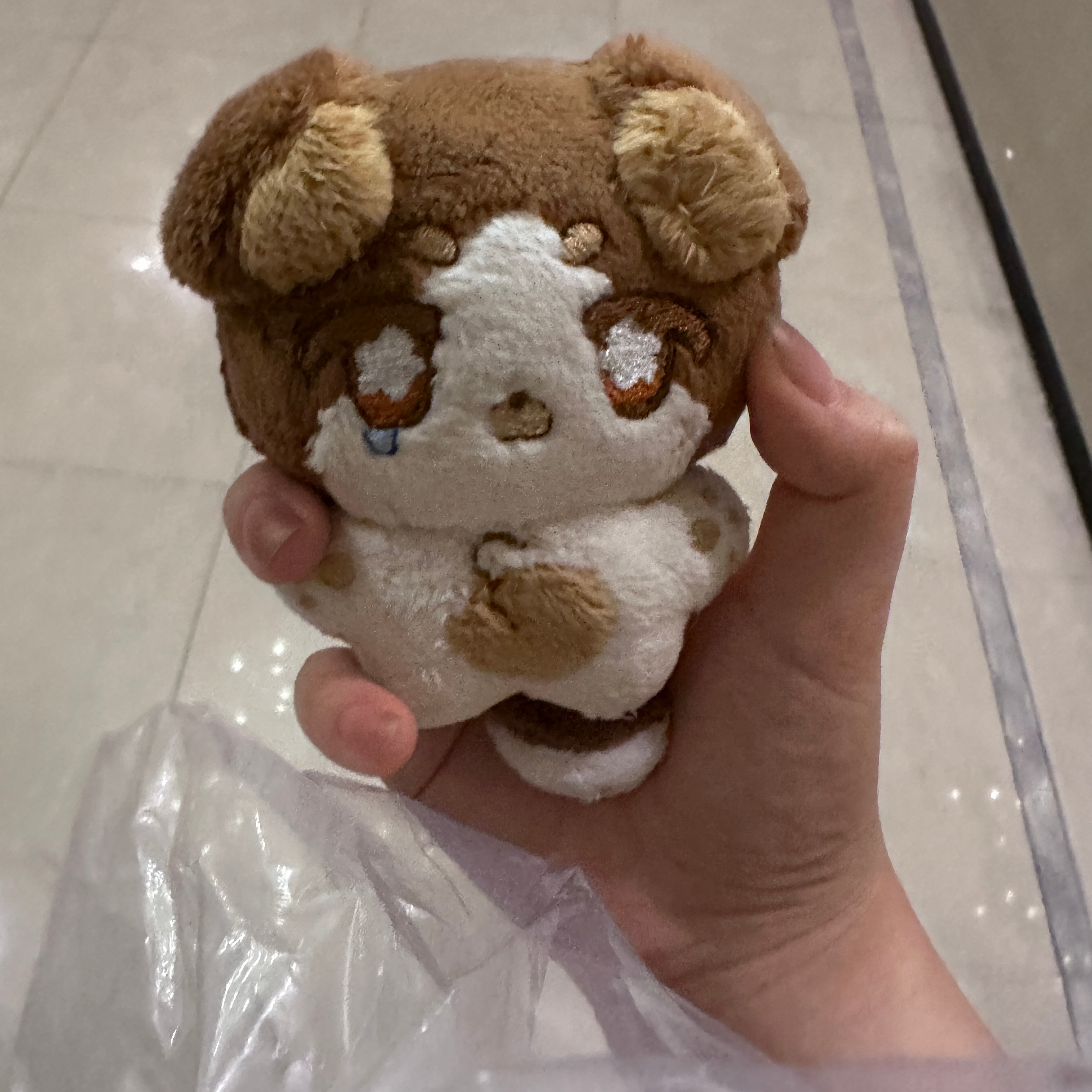小土狗智商低（ 