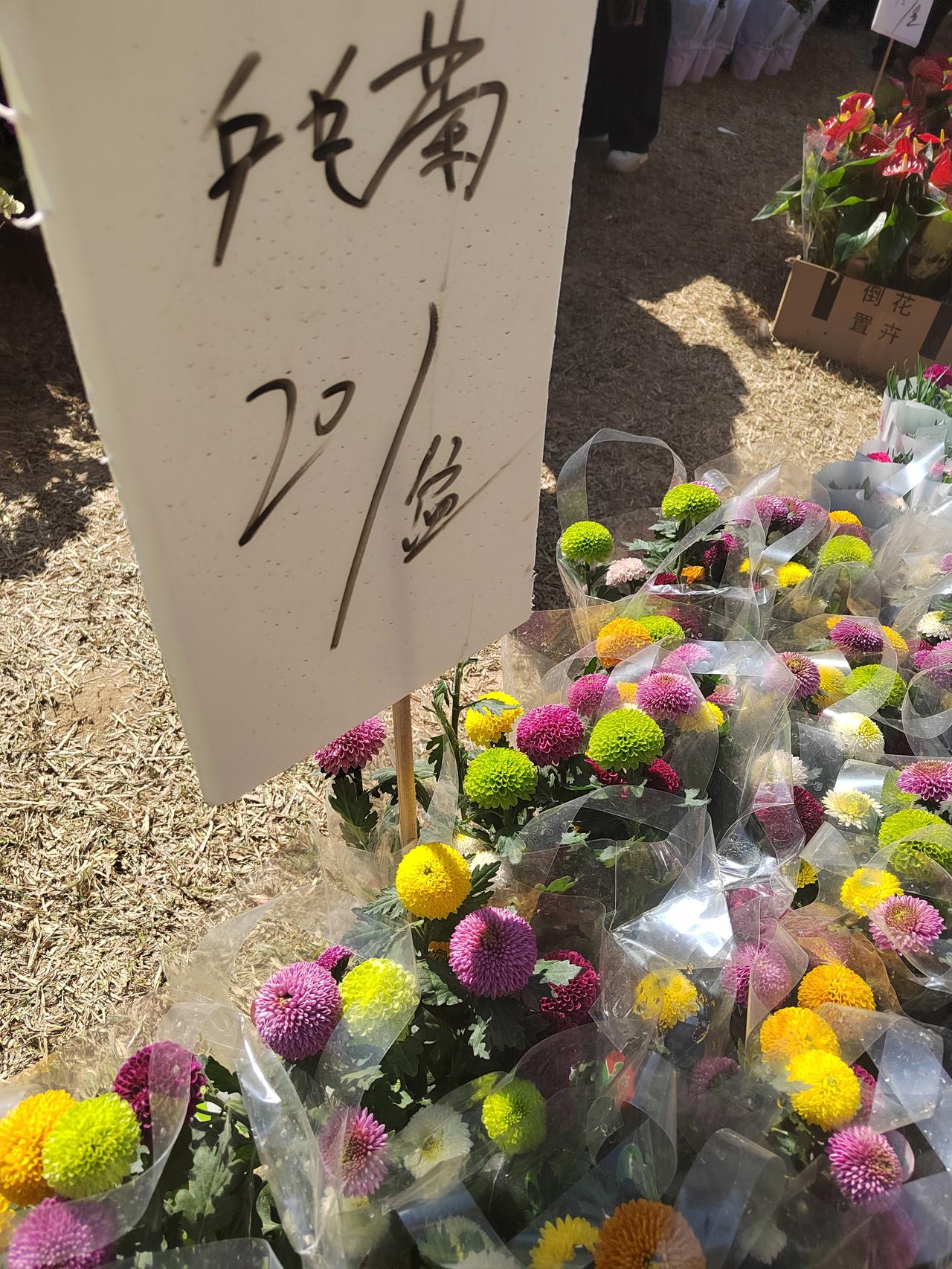 从小就特别讨厌回老家，每次父亲让我回老家，我都特别的烦躁，都会生气，没想到40岁