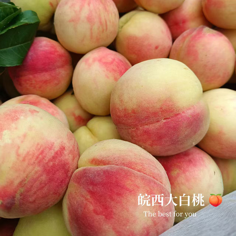 🍑 夏日脆桃首选，地道皖西大白桃来啦一到夏天就馋这口嘎嘣脆的桃香，这款皖西大白