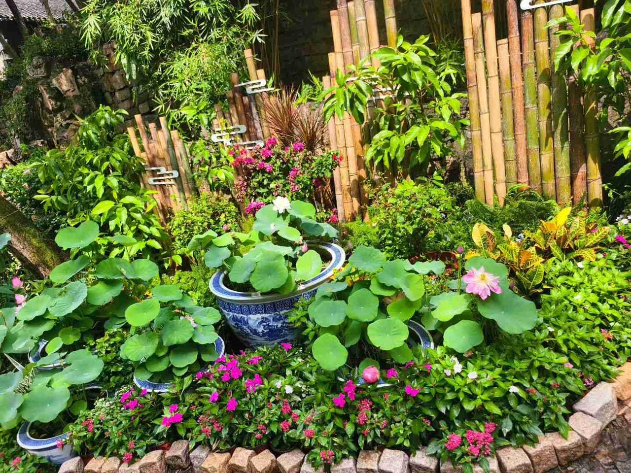 我的今日状态：💰期待暴富
我这里的天气：🌧下雨

今天是8月10日，星期一，